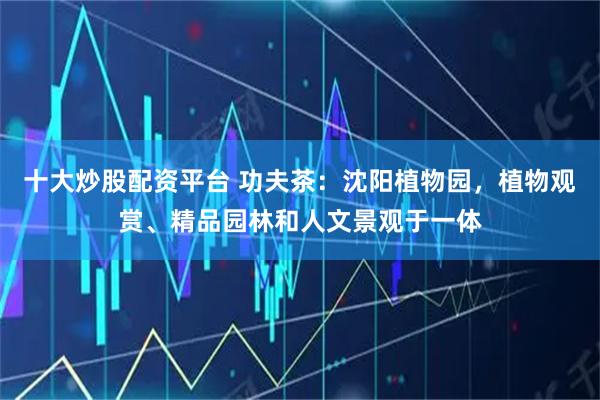 十大炒股配资平台 功夫茶：沈阳植物园，植物观赏、精品园林和人文景观于一体